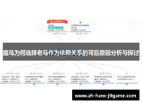 魔鸟为何选择老马作为依赖关系的背后原因分析与探讨
